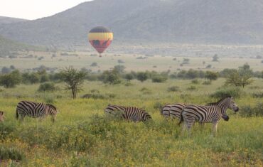 Pilanesberg National Park Hot Air Balloon
