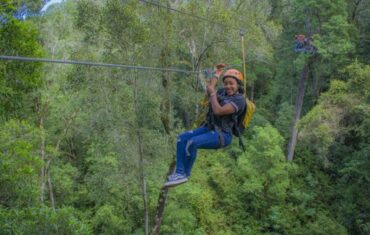 Tsitsikamma national Park zipline canopy tour